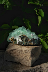 Rare Green Apophyllite with Pyrite